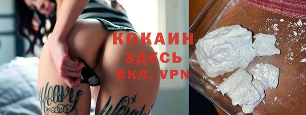 ПСИЛОЦИБИНОВЫЕ ГРИБЫ Гусиноозёрск