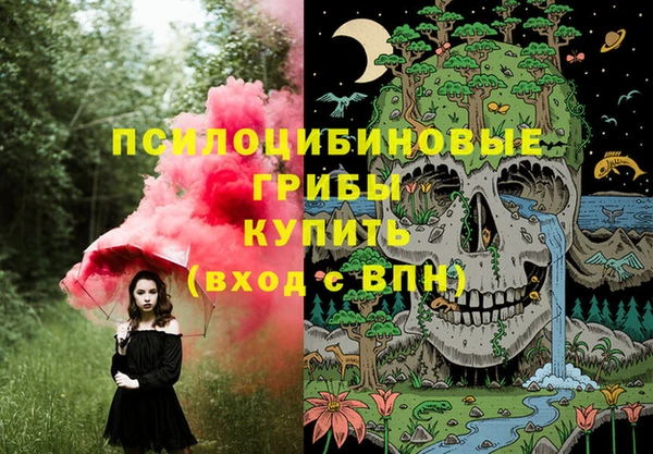ПСИЛОЦИБИНОВЫЕ ГРИБЫ Гусиноозёрск