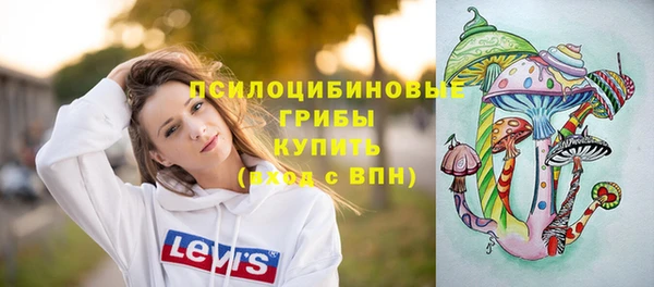 ПСИЛОЦИБИНОВЫЕ ГРИБЫ Гусиноозёрск