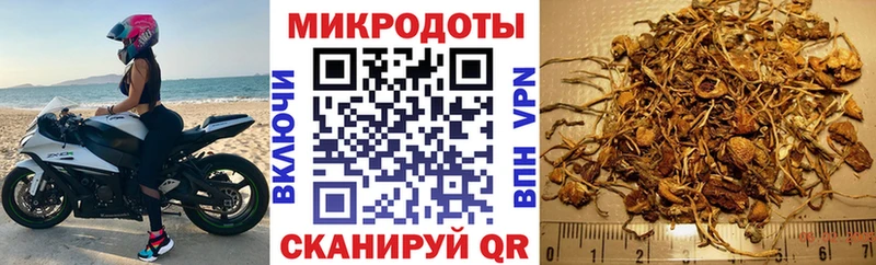 закладки  Зеленодольск  Галлюциногенные грибы Magic Shrooms 